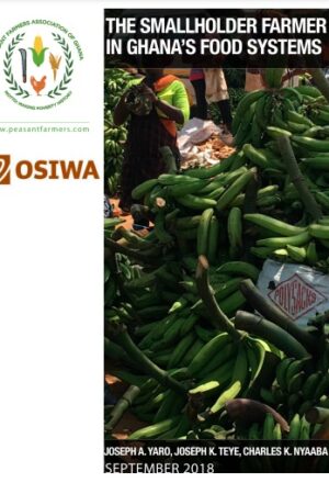 GHANA FOOD SYSTEM FINAL REPORT 27