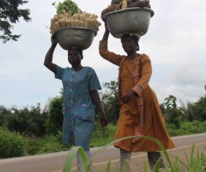 Ghana Beyond Aid Smallholder farmers the game changers