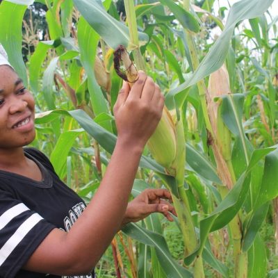 Government-urged-to-create-policy-space-for-agroecology-farming-concept